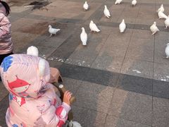 -王府井奥莱棋盘山小镇