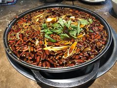 肥肠鱼-烧哥美蛙肥肠鱼火锅·十五年社区店