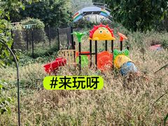 -长兴太湖图影湿地文化园