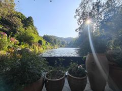 -深圳仙湖植物园