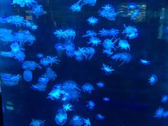 -杭州海底世界