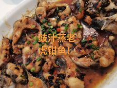-虾饺妹·酒家(金碧店)