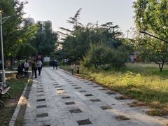 -太阳宫公园