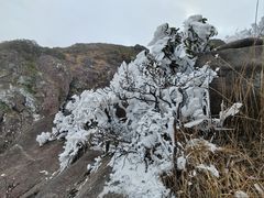 -金子山原生态旅游风景区