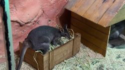 -Zoolung Zoolung动物主题公园(海信广场店)