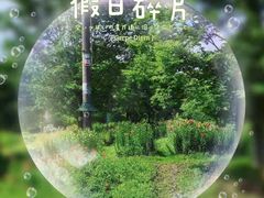 -花开海上生态园