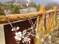 -白水寺森林公园