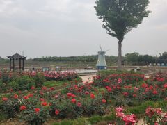 -武汉紫薇都市田园