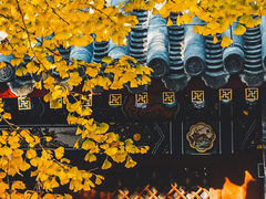 -潭柘寺景区
