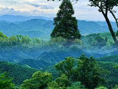 -莫干山风景区
