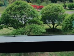 -青岛青龙美爵酒店·阳光海岸西餐厅