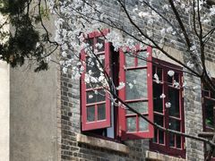 -武汉大学-樱园