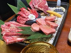 -肉魁屋·烧肉·烧鸟·酒场(高新店)