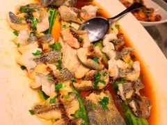 古法蒸石斑鱼-顺风海鲜港(长寿路店)