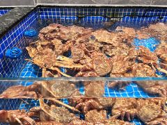 -东海怡品海鲜豆捞(星街坊店)