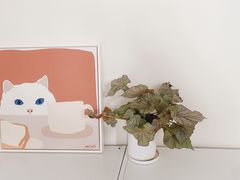 -小草莓·Little Strawberry