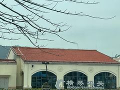 -横琴客运码头