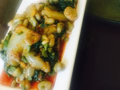 -糊涂兔毛毛菜(八里庄店)
