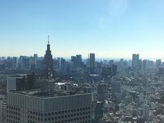 -东京都厅舍