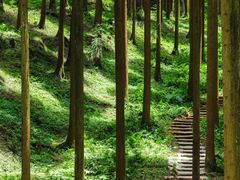 -春熙路步行街