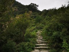 -阳台山自然风景区