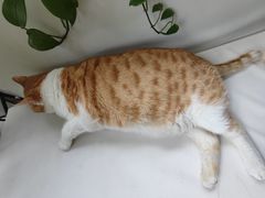 -小时光咖啡馆(北锣鼓巷店)