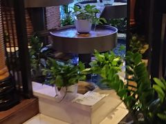 -润园四季椰子鸡火锅(海上世界店)