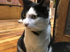 -猫的天空之城概念书店(杭州南宋御街店)