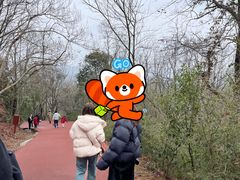 -敬亭山风景名胜区