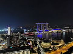 -新加坡瑞士史丹福酒店