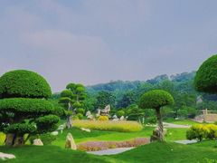 -丹樱生态园