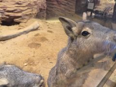 -正佳雨林生态植物园