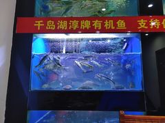 -全乐鱼馆·淳牌有机鱼直营店
