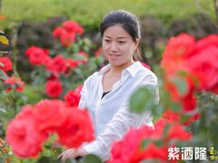 -WE ME 伴山营地·城市露营·团建策划