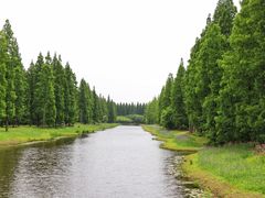 -黄海国家森林公园