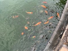 -揭阳学宫(榕城区)