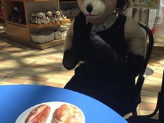 iphone_upload_pic-济州岛泰迪熊博物馆