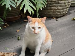 -默迹咖啡馆