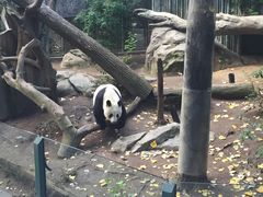 -圣地亚哥动物园