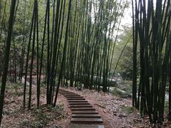 -四洞沟景区