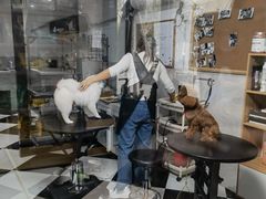 -Oh My Dog宠物沙龙(伊珊娜皮毛护理店)