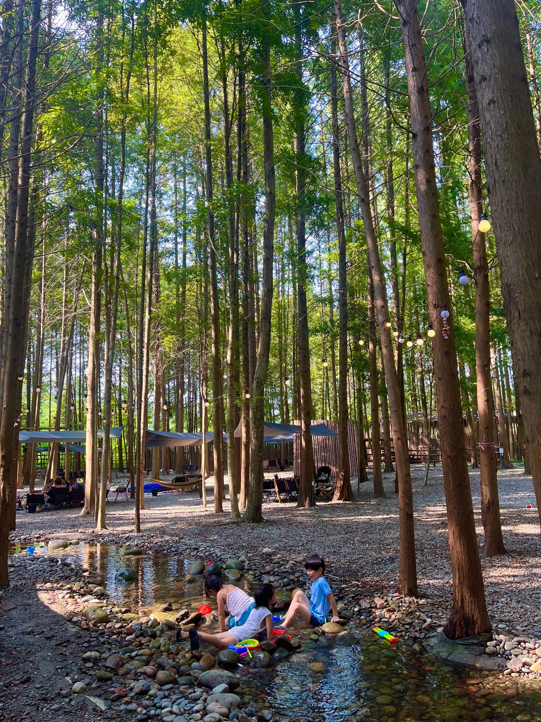 成都夏日露营🏕️宝藏地被我找到啦!