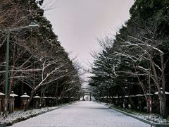 -北海道神宫