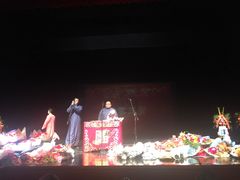 -合肥大剧院