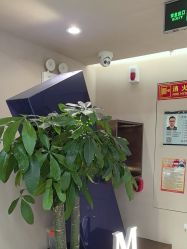 -木北造型