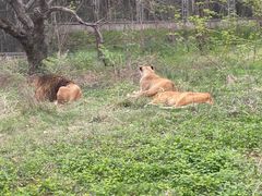-西安秦岭野生动物园