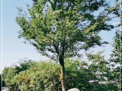 -瑶湖郊野森林公园