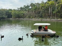-广东茂名森林公园