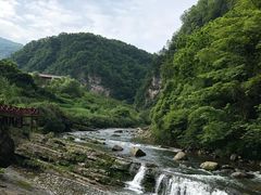-黎坪国家森林公园