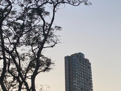 -悦海公园